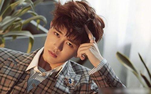 娱乐吃瓜君任嘉伦